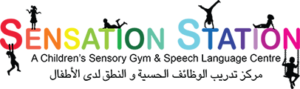sensation station logo